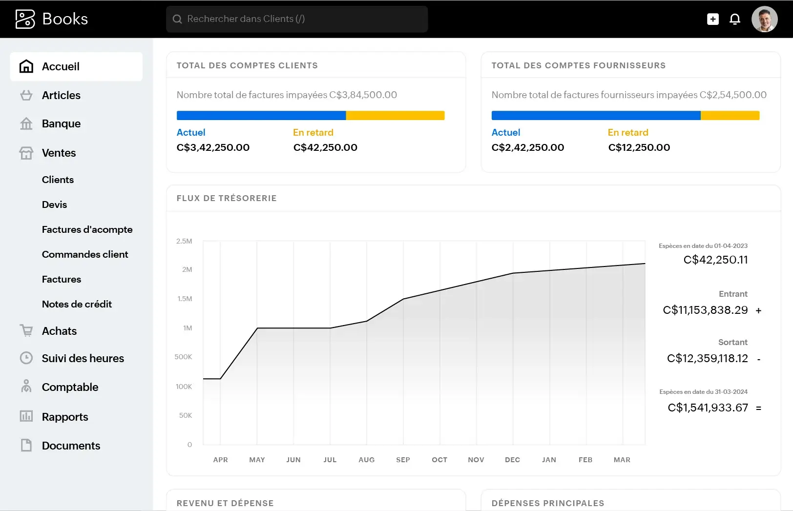 Le tableau de bord par défaut de Zoho Books affiche les données financières. Les widgets affichent le total des comptes créditeurs, des comptes débiteurs et des montants dus en CAD, ainsi qu'un graphique de flux de trésorerie avec une tendance positive.