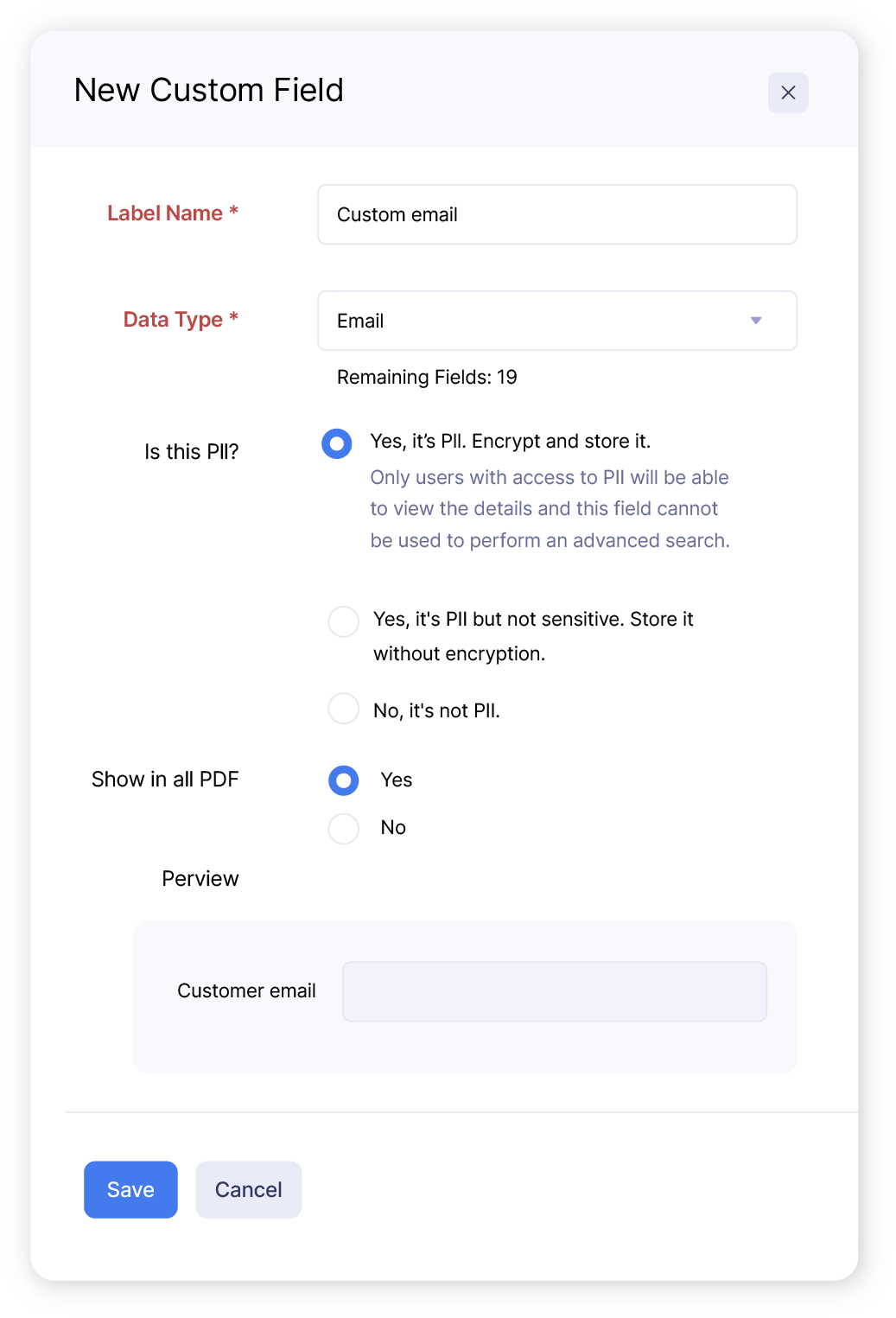 Screen of custom field creation