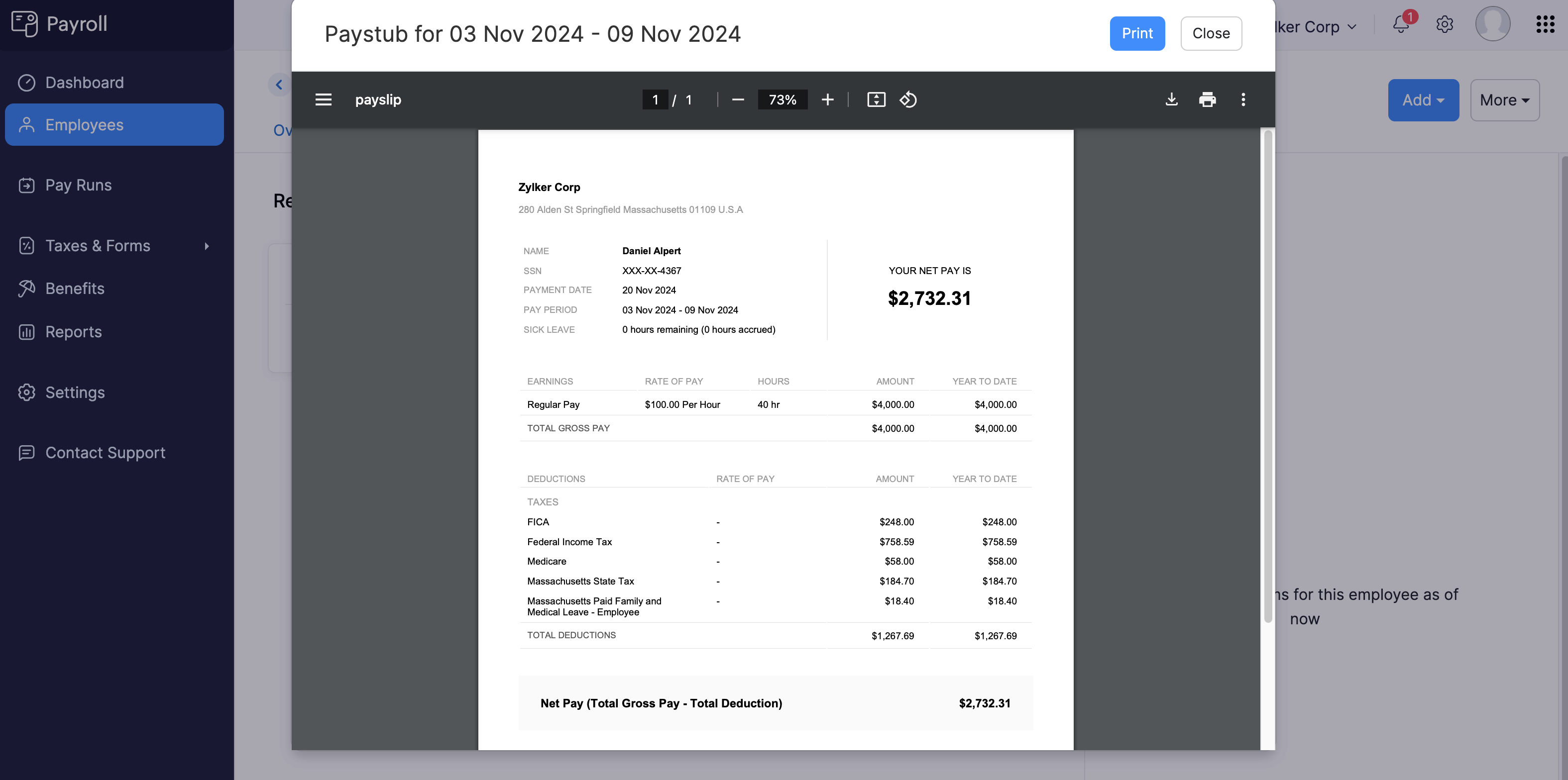 Preview of Employee Pay Stub